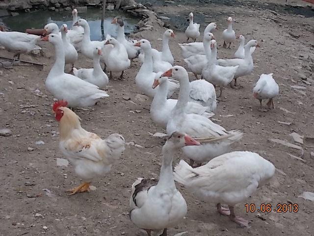 Offagna Agriturismo Le Vergare מראה חיצוני תמונה