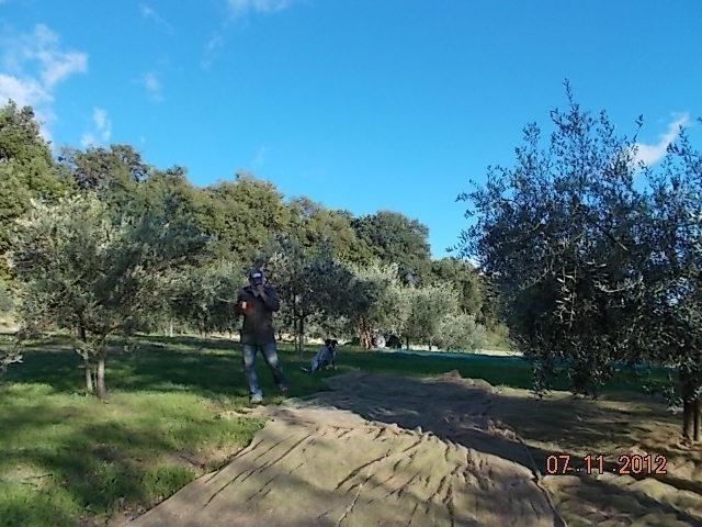 Offagna Agriturismo Le Vergare מראה חיצוני תמונה