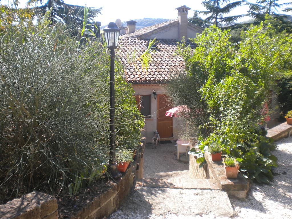Offagna Agriturismo Le Vergare מראה חיצוני תמונה